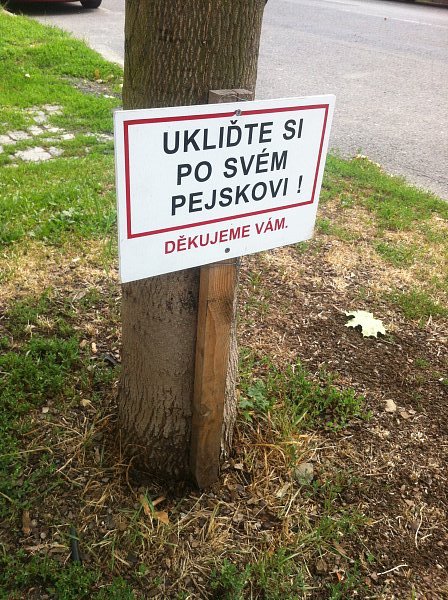 Cedulka